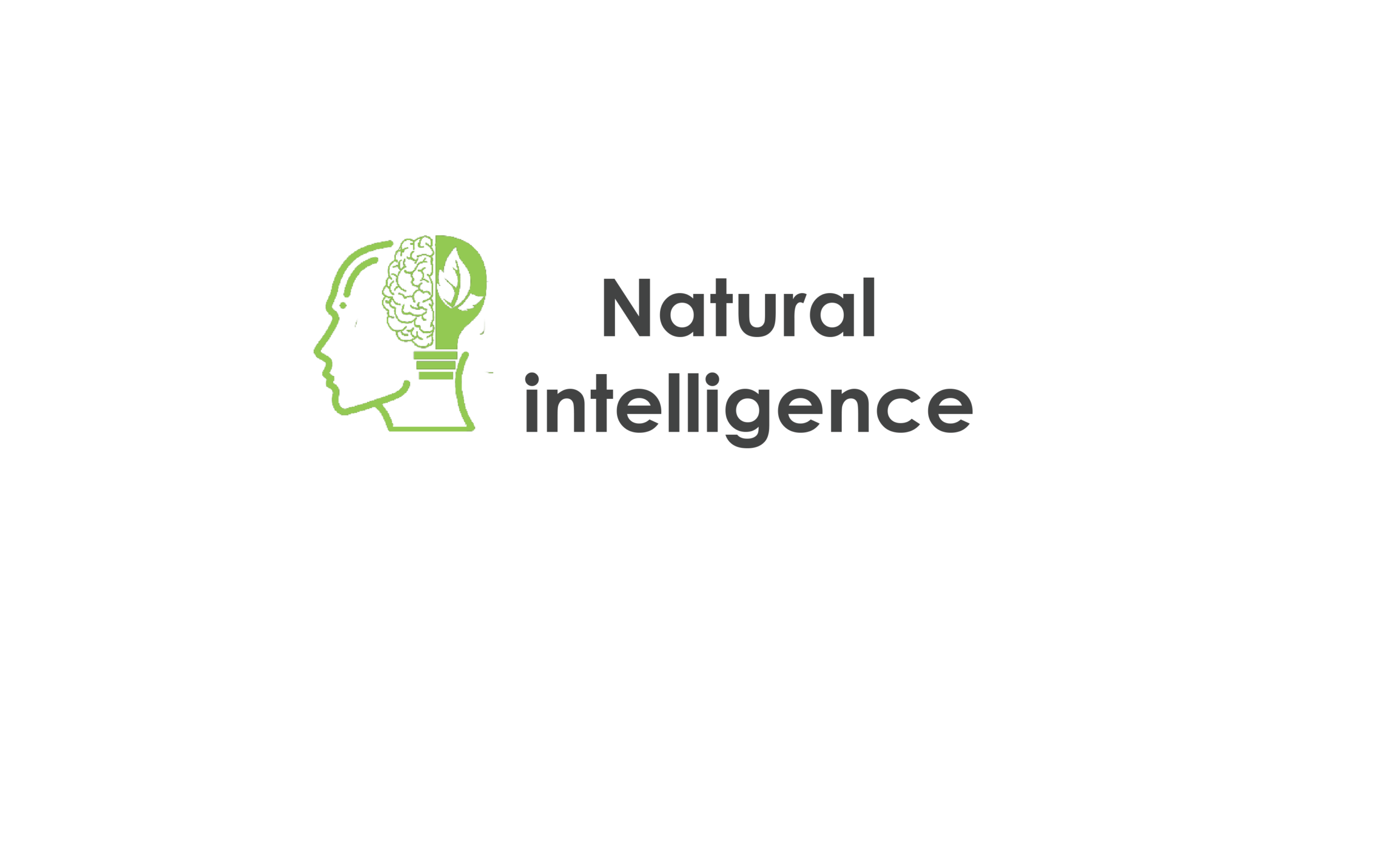 multiple intelligence consultant-future experts education consultant- Jeddah-Saudi Arabia