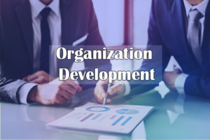 organaization development consultant-future experts education consultant- Jeddah-Saudi Arabia